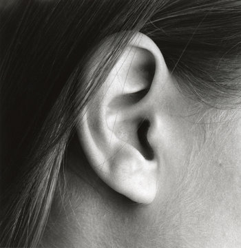 close-up of ear