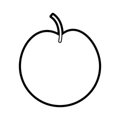 fruit icon image