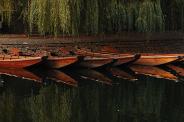 Tübingen Stocherkahn