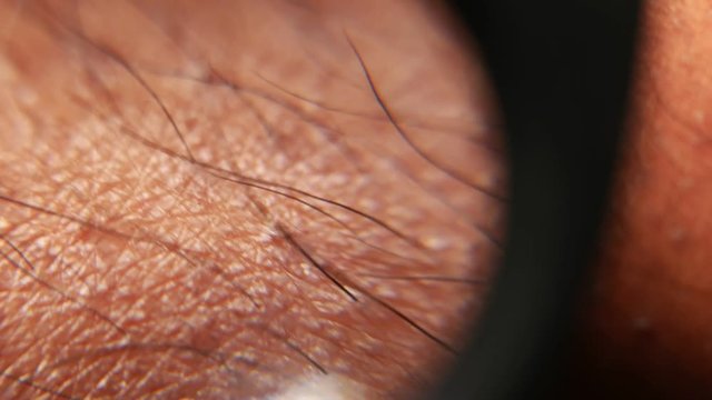 Close up of Human Skin Texture 
