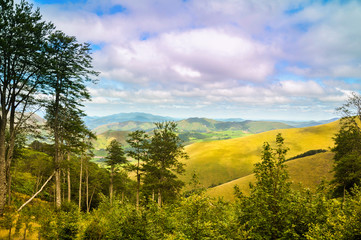 Fototapeta premium Nature tourism in Spain, Jungle of Irati, Navarra, Landscape