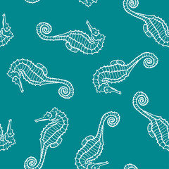 vector seamless pattern or seahorse contour. Hippocampus background