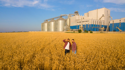 Aerial photo of two farmers standing in a wheat field and looking far discussing harvest and...