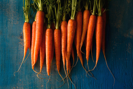 Freshly picked carrots on blue wooden background