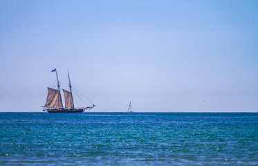 Obraz premium Sailing the Pacific