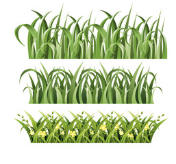 Vector illustration of green grass set on white background. Spring and summer design in cartoon style.
