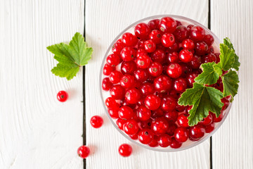 Yogurt dessert with red currant and decorated with leaves on white wooden background