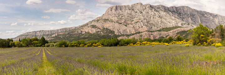 The Sainte-Victoire mountain, near Aix-en-Provence, which inspired the painter Paul Cezanne