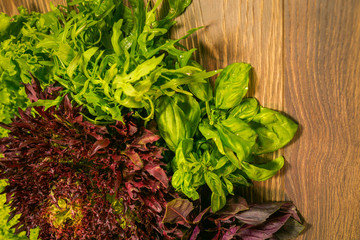 Leaves of lettuce and basil on a wooden background. Seasoning for the kitchen.