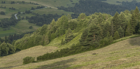 Meadows over Lesnica village in summer morning © luzkovyvagon.cz