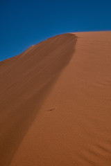 Sand Dune