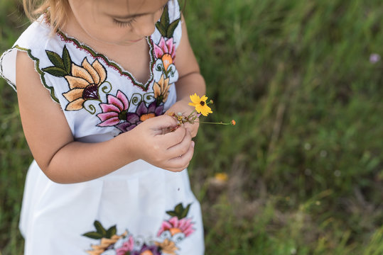 A Little Girl Wearing A Traditional Mexican Dress Picks Yellow Wildflowers