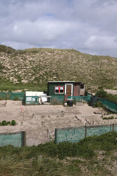 rather barren vegetable garden in sandy dunes