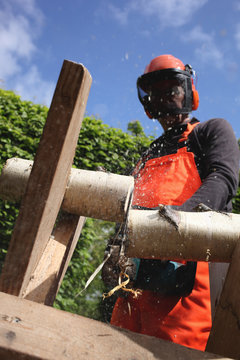 Man using a chainsaw to cut trunks in pieces