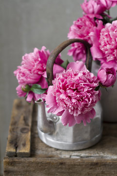 Pink Peonies