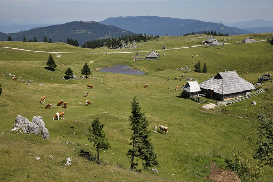 Old mountain wooden house