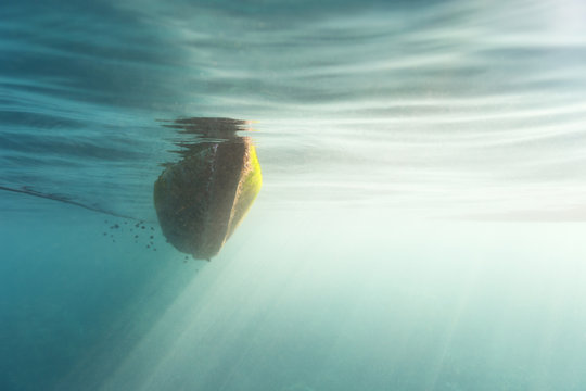 Biofouling On A Hull Of A Ship Seen From Underwater