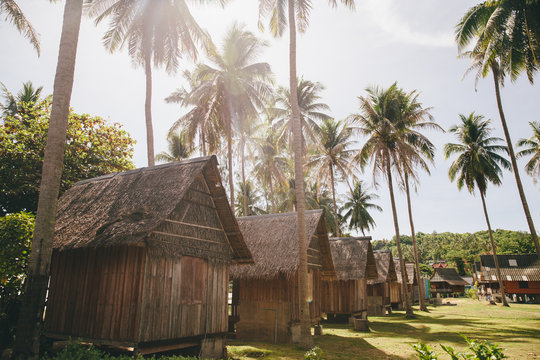 Wooden houses among palms