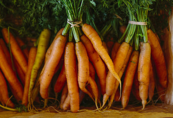 Organic Carrots