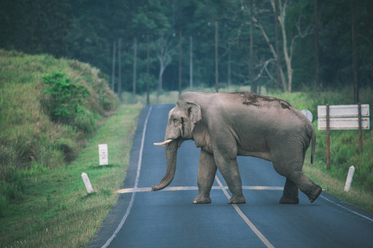 On The Road
