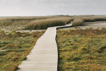 Boardwalk to Beach Cape Cod Massachusetts