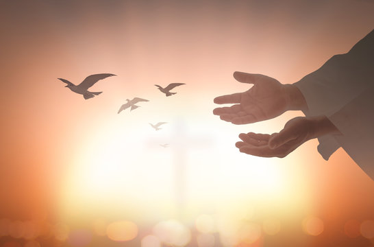 Ascension day concept: Silhouette human open two empty hands with palms up and birds flying over blurred cross in church background.