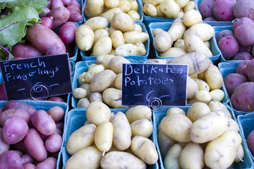 Organic Farmer's Market Fresh Vegetables