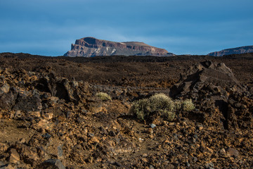 Teide National Park, Tenerife, Canary Islands, Spain 