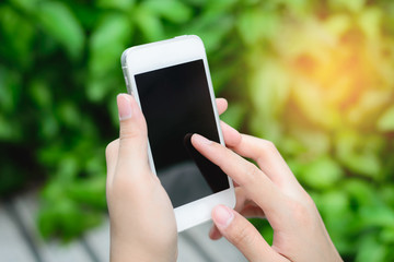 Closeup of woman hands using smartphone