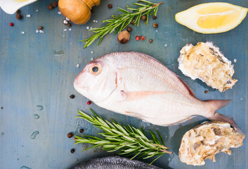 fresh sea fish preparation - fish bream with lemon, herbs and spices on blue wooden background