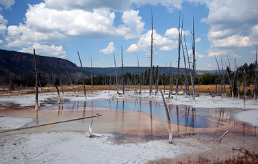 Opalescent Pool hot spring in the Black Sand Geyser Basin in Yellowstone National Park in Wyoming...
