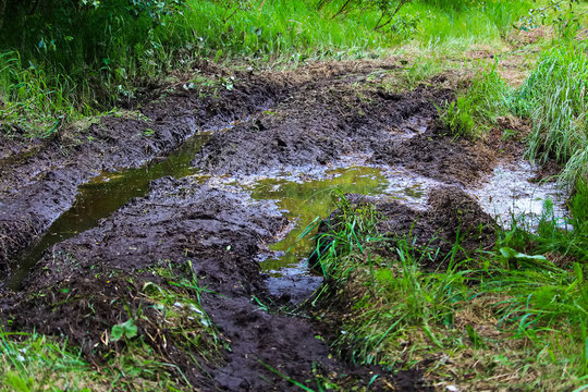 A muddy quadding trail in spring