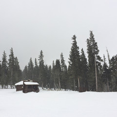 Mała kabina w śnieżnym lesie - 166405422