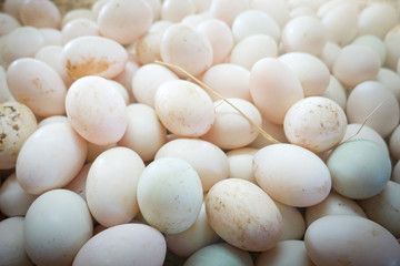 Salted duck eggs