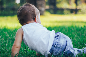 Naklejka premium crawling baby on grass. only back