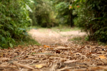 low road