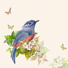 graceful invitation card with a cute bird on apple blossom and butterflies. watercolor painting