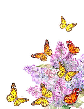 corner with flowering lilac branch and butterflies. watercolor painting