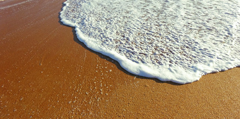 Beach Shore Foam Wave