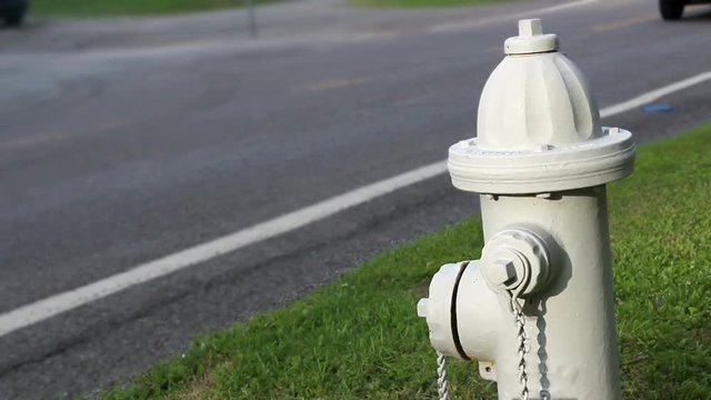 A Freshly painted white fire hydrant along the side of the road