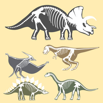 Dinosaurs skeletons silhouettes set fossil bone tyrannosaurus prehistoric animal dino bone vector flat illustration.