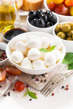 ingredients for salad with mozzarella on white table, vertical closeup