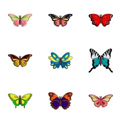 Types of butterfly icons set, flat style