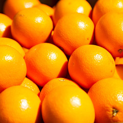 in the market lots   of fresh orange