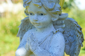 statue little angel close-up