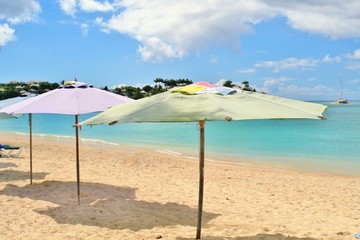 Beach umbrellas set up in the sand, along the shore