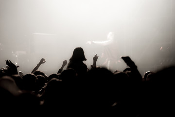 Partying crowd at a concert