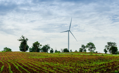 Wind turbine at hill, Thailand
