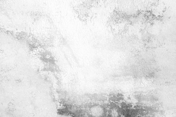 White Grunge Wall Background.