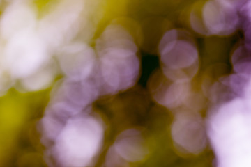 Beautiful abstract golden and purple bokeh background for decorative